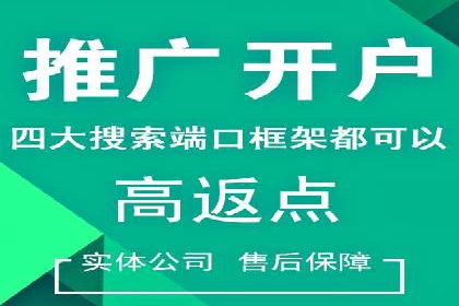 揭秘：成功SEM推广代运营公司案例解析